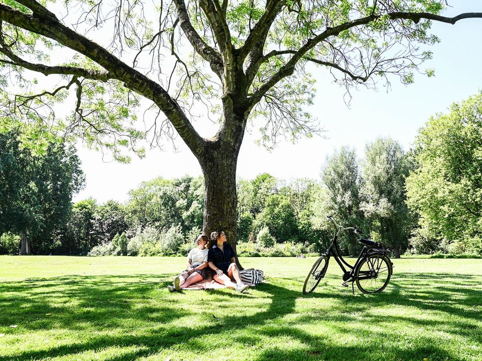 Gezellig samen picknicken in het park in Delft