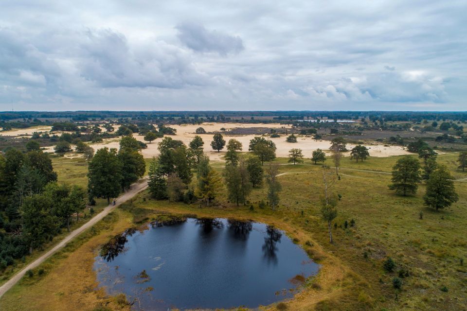 Het gebied De Kale Duinen in Nationaal Park Drents-Friese Wold.