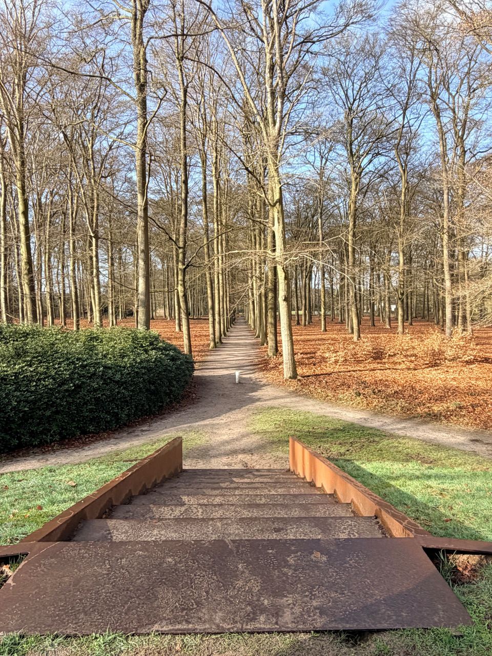 Uitzicht op vijver op landgoed Beerschoten