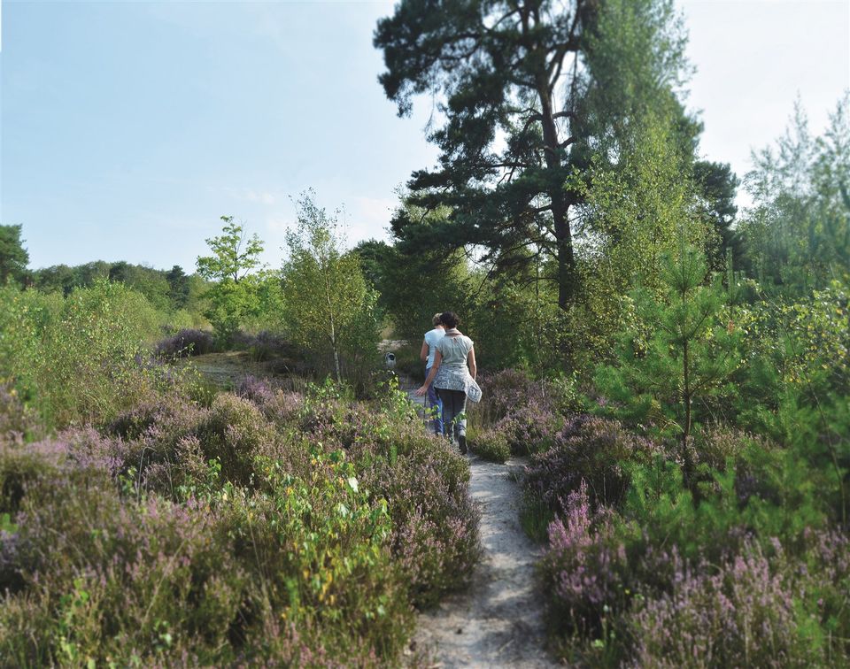 Wandelen op Zwartven