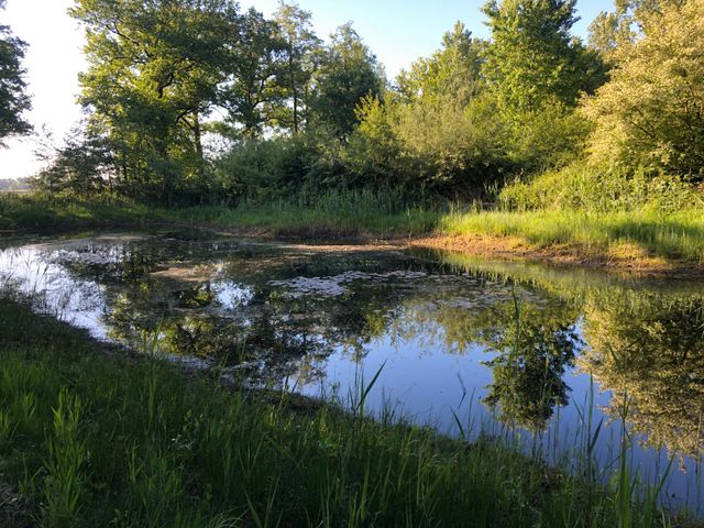 Natuurgebied De Berken Liessel
