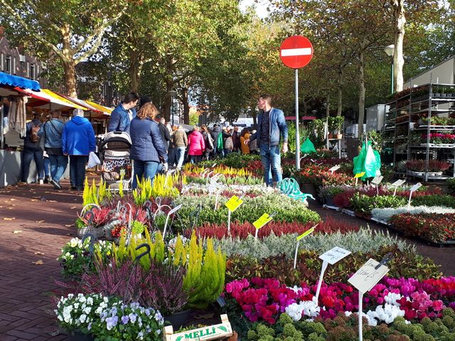 Warenmarkt tijdens de Koeiemart in Woerden, Groene Hart, met bezoekers tussen marktkramen en een kleurrijke bloemen- en plantenstal in herfstsfeer.