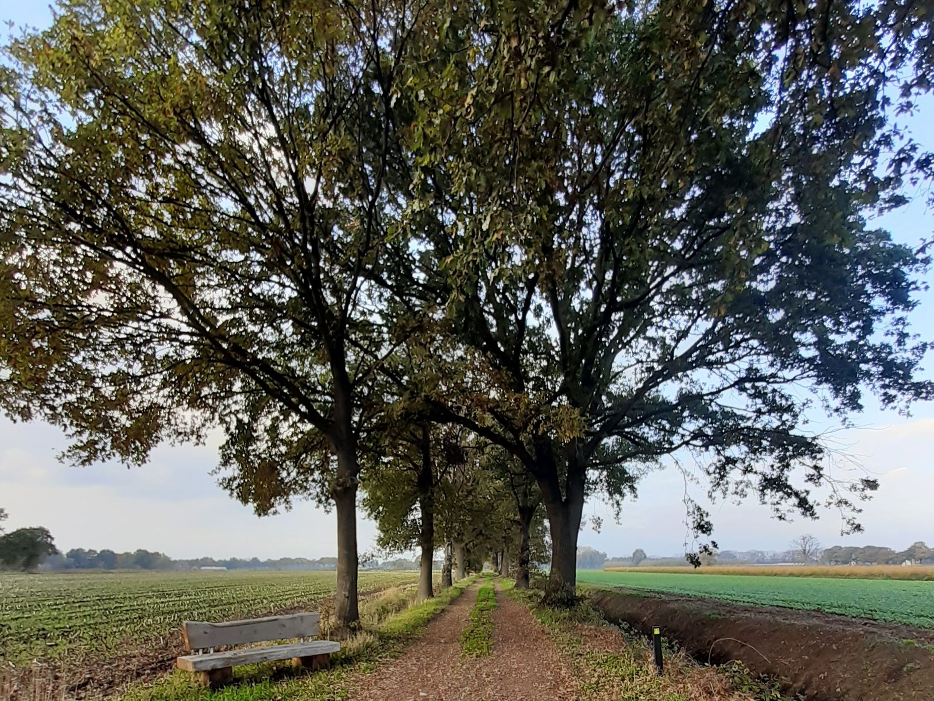 Walsberg Deurne Wanderweg mit Bank