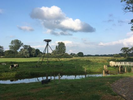 Landschap Reestdal