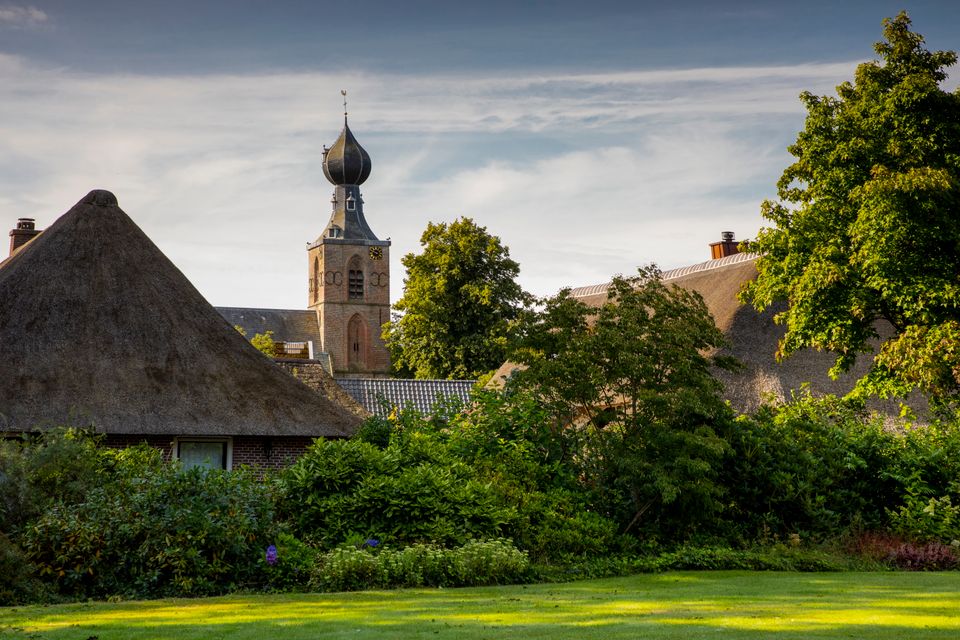 Dorfansicht von Dwingeloo mit einem Kirchturm im Hintergrund.