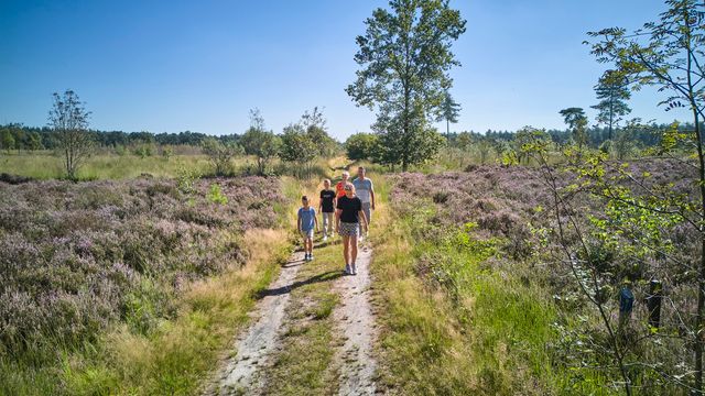 Gezin wandelt over de heide in Reusel