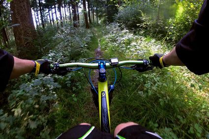 Mountainbike in het bos - BezoekEde