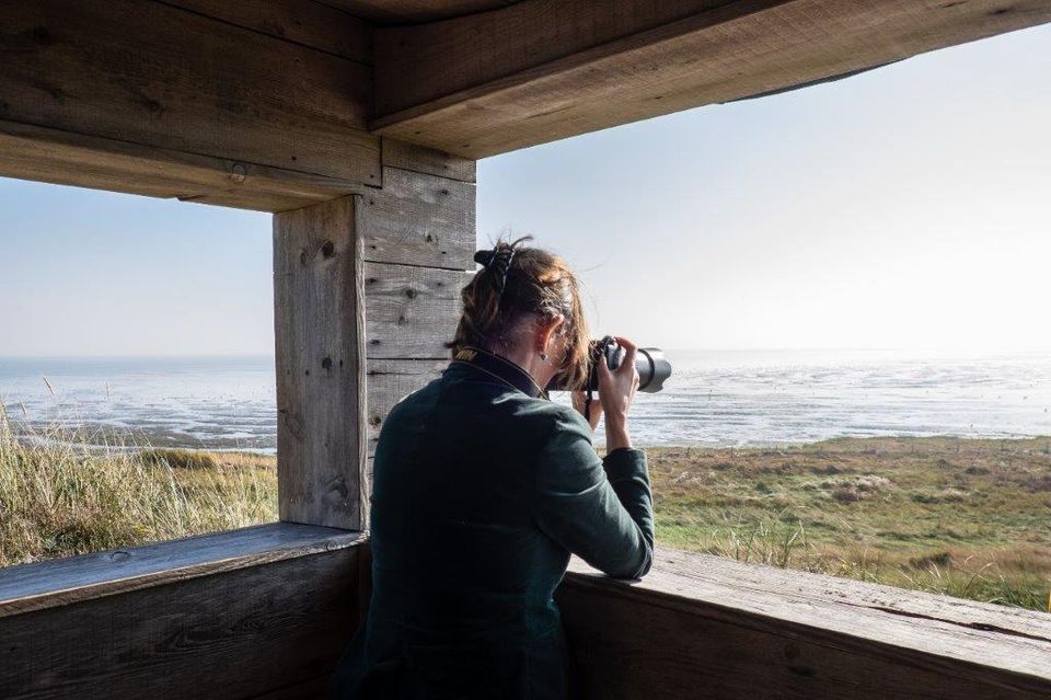 Vogelkijkhut Vlieland