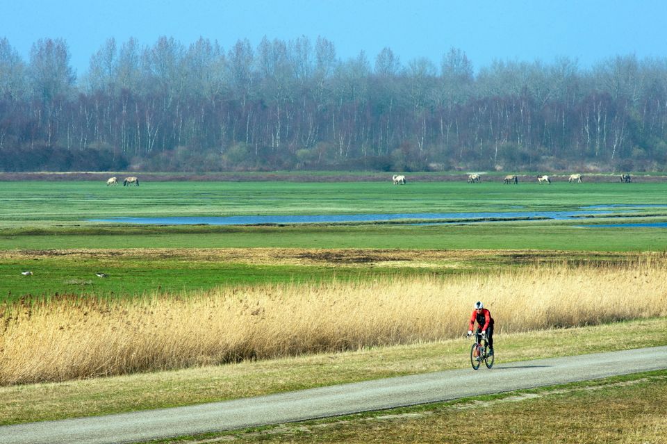 Rondje Lauwersmeer Oostmahorn