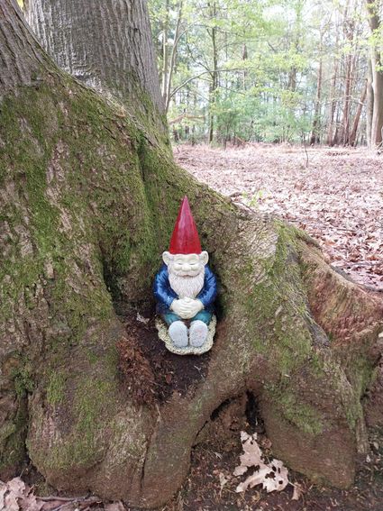 Zoektocht in het kabouterbos