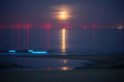 Photo with Sea Sparkle