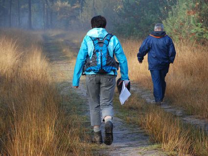 2 wandelaars in de natuur