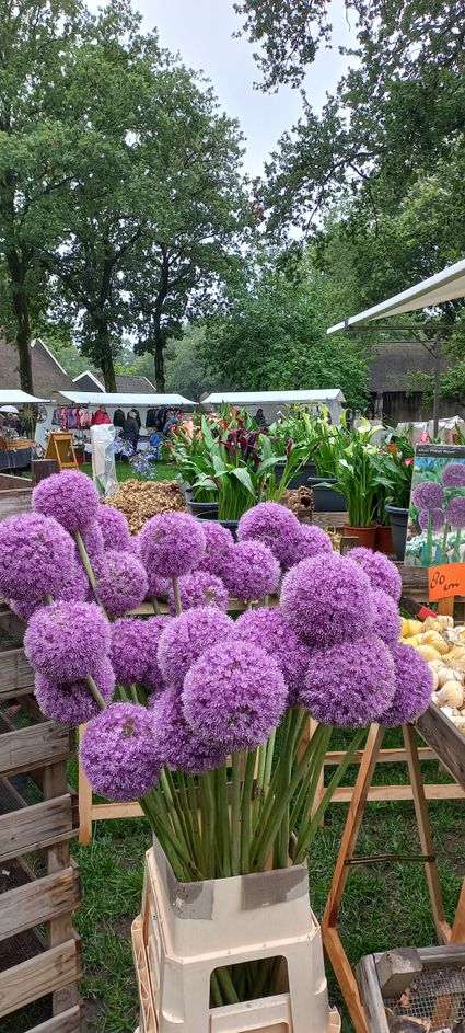 markt Orvelte