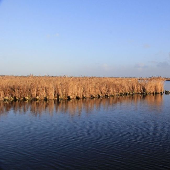 Winterrust in het Ilperveld