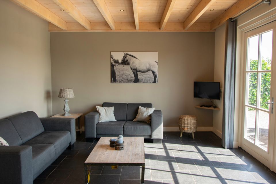 Wertemerhoeve woonkamer