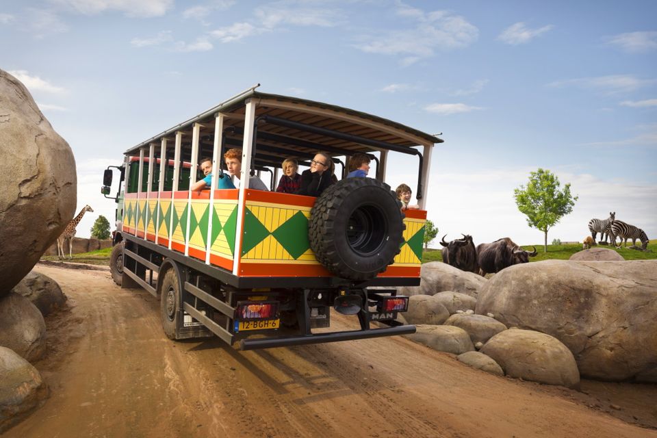 Een safaritruck met mensen rijdt tussen de dieren door.