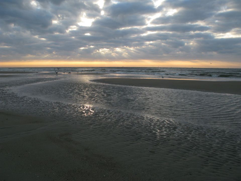 Foto strand vlieland (klein)