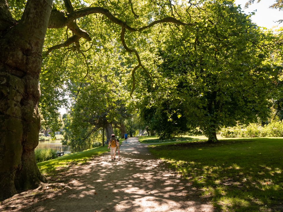 Afbeelding van Plantsoen Singelpark