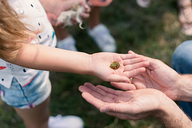 Een meisje heeft een klein kikkertje op haar hand liggen.