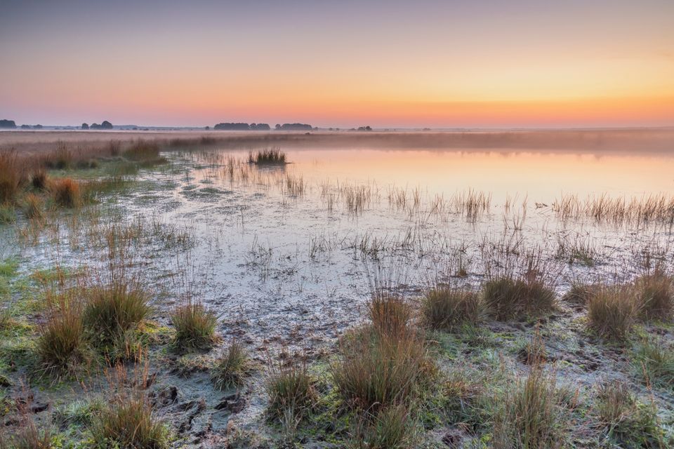 Een ven waar mist boven hangt in een Nationaal Park bij zonsondergang.
