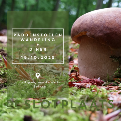 Paddenstoel in het gras