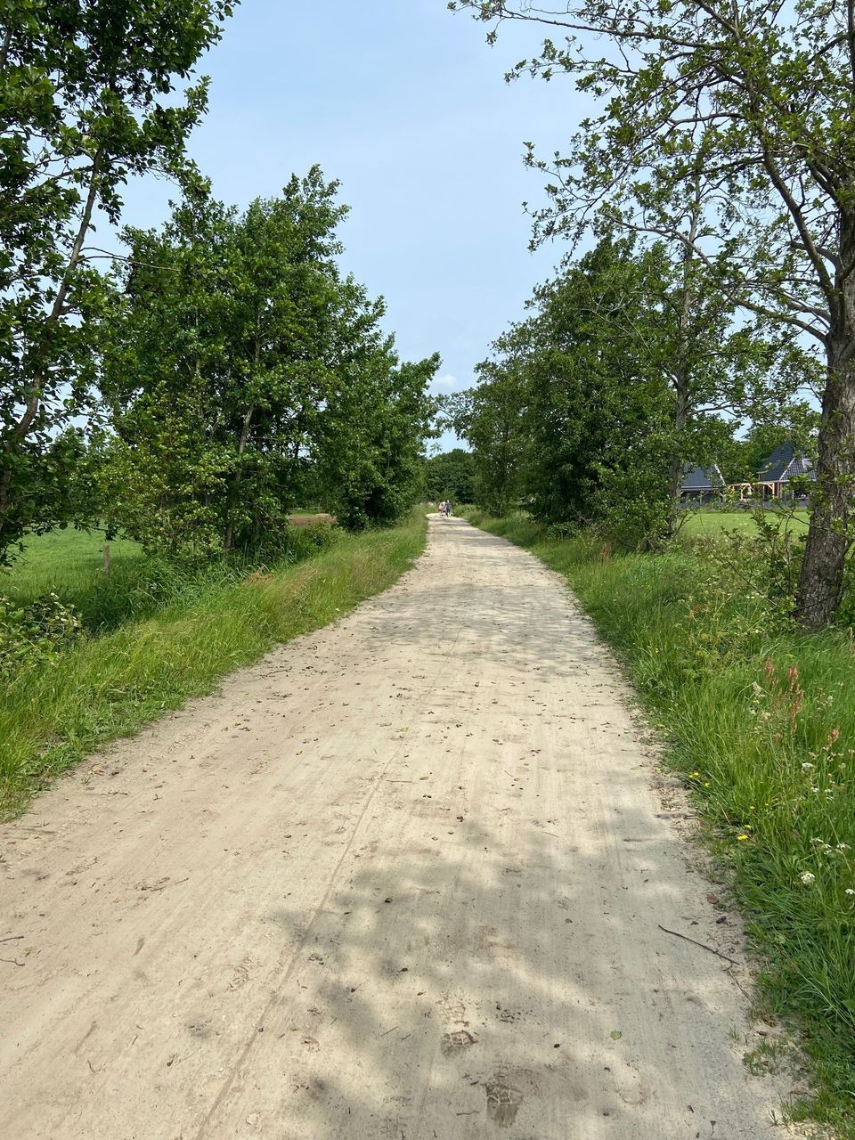 Gemoedelijk Jistrum in het coulissenlandschap