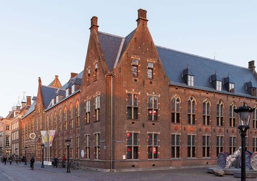 Raamwerk: Shertise Solano