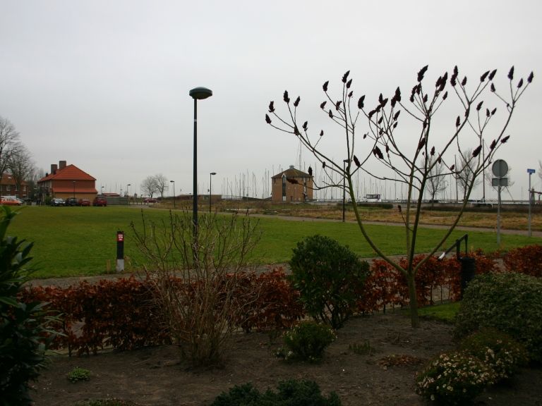Uitzicht op grasveld.