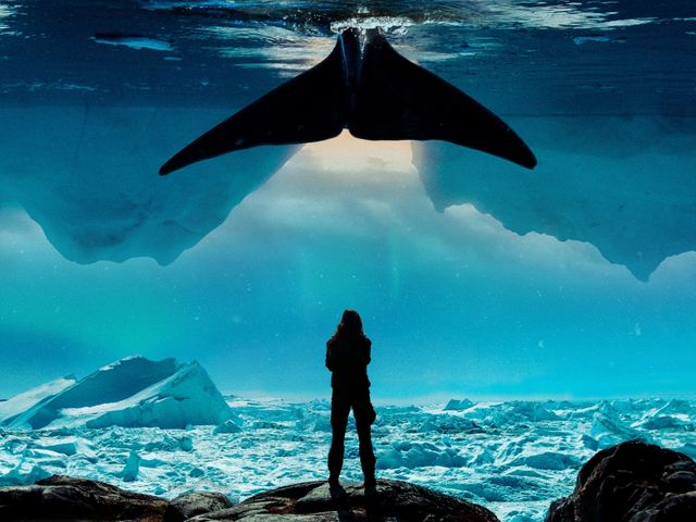 poolijs met mansperoon