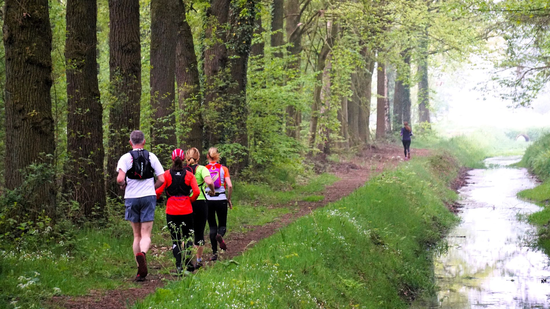 Hardlopende personen lang een beekje en bosrand.