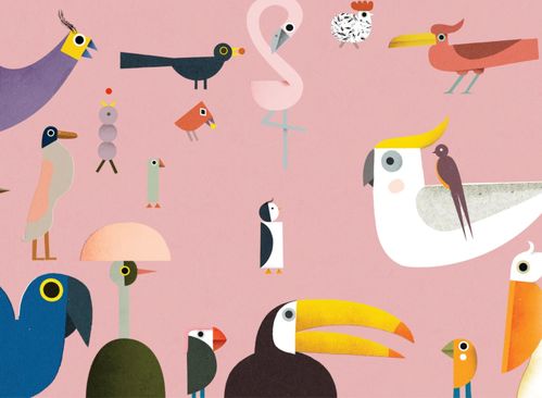 Vogelhuis Verhaaltjes (3+)