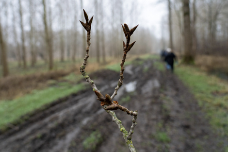 foto: Bart van Rooij