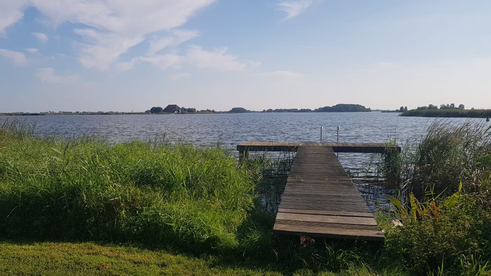 Zwemsteiger bij It Piel (de Fluessen)