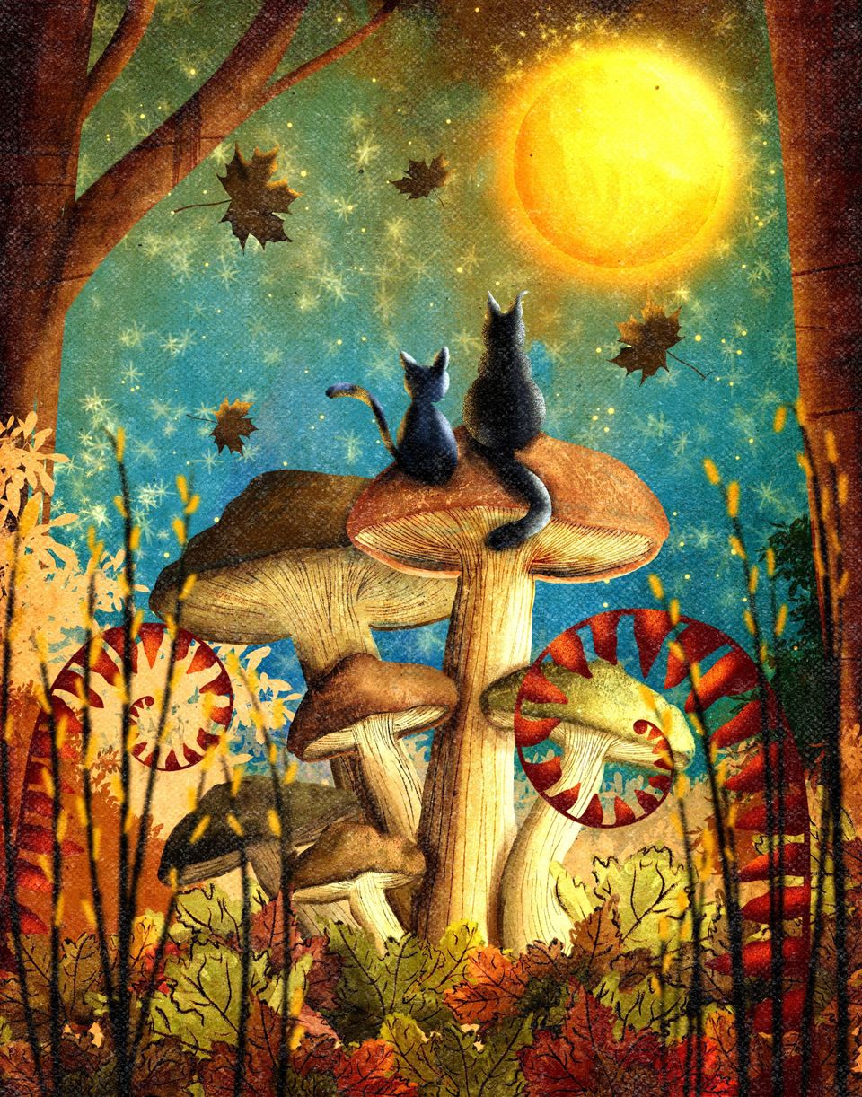 Katten op paddenstoelen