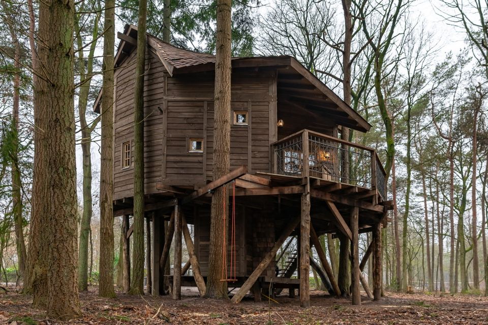 Een xxl boomhut in een bos in Drenthe.