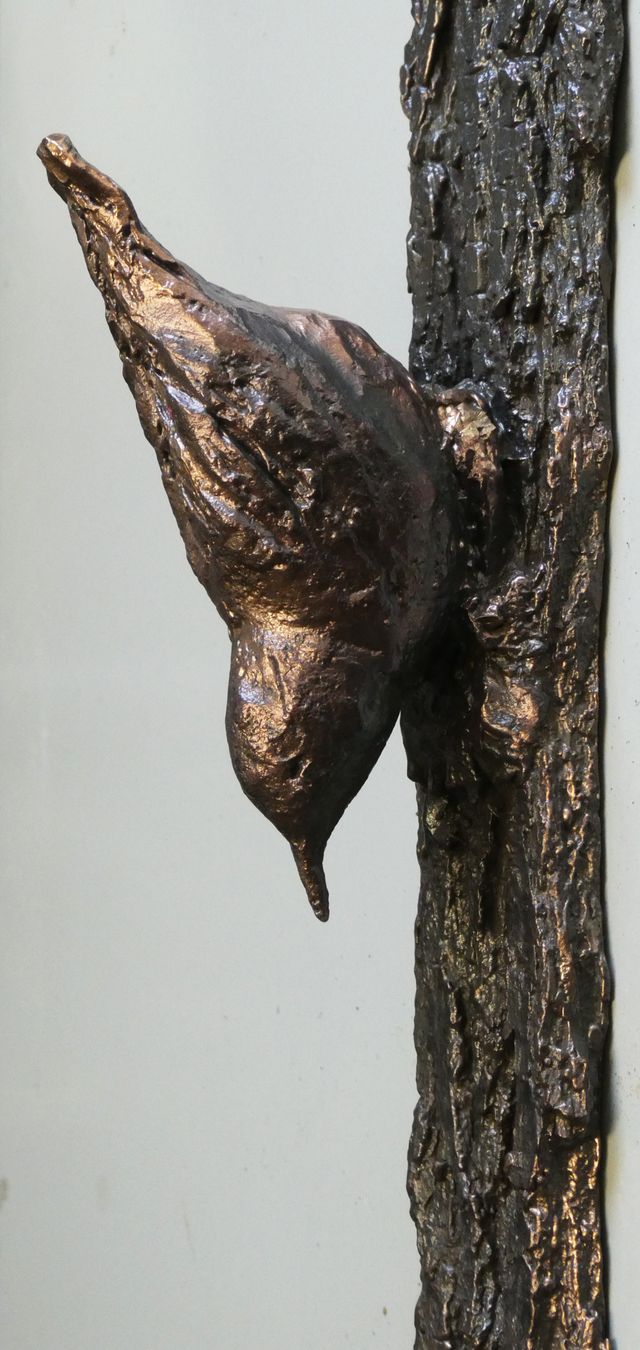 Tentoonstelling