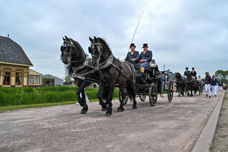 Openingsstoet met Friese paarden tijdens de heropening van het Fries Landbouwmuseum
