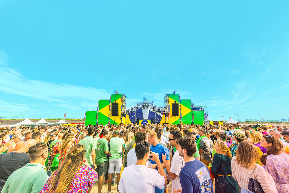 Beachboom Op Schouwen-Duiveland