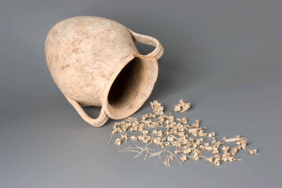 Aardewerken pot met tientallen makreelgraatjes.