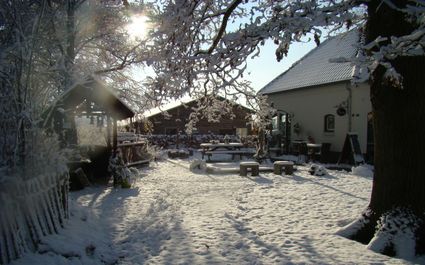 Toon Kortoomspark - Winter