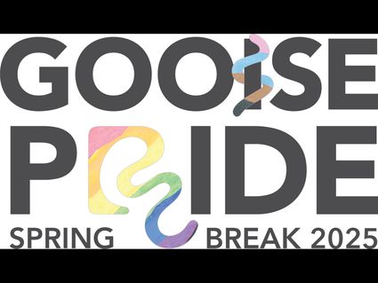 Logo Gooise Spring Break