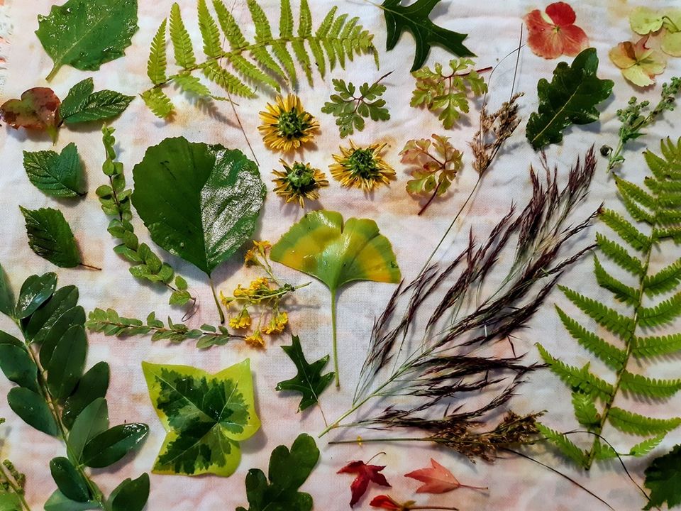 Ecoprint workshop in de herfst bij Atelier Westerwind