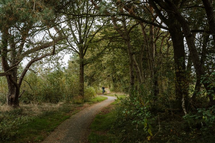Fietspad Groote Heide