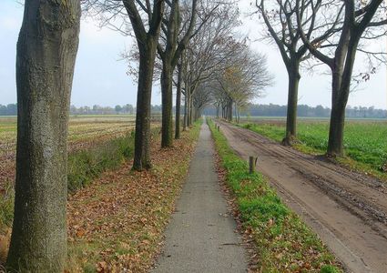 Lezing Deurne en Asten - Asten en Deurne - Herfstlandschap