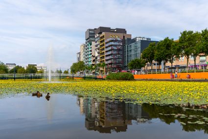 Zilverpark in Lelystad