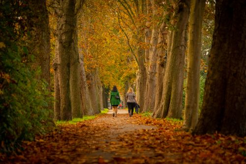 twee dames die wandelen