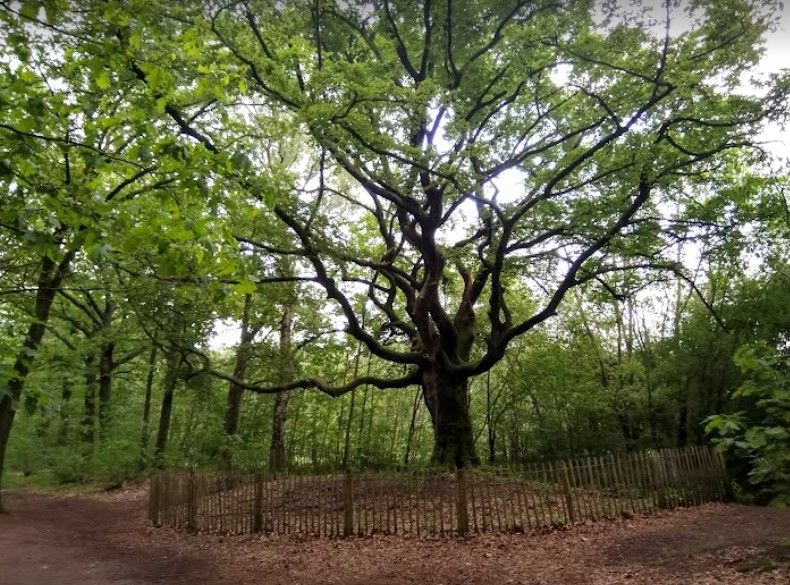Verhalenwandeling Landgoed ten Vorsel
