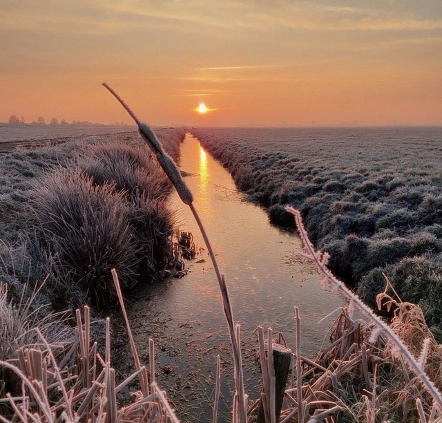Winterse ochtenden