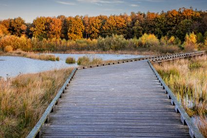 Familiepad rolstoelpad toegankelijk wandelen Dwingelderveld