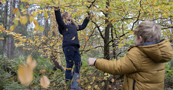 Jongen en meisje spelen in het bos met herfstkleurige bladeren aan de bomen.